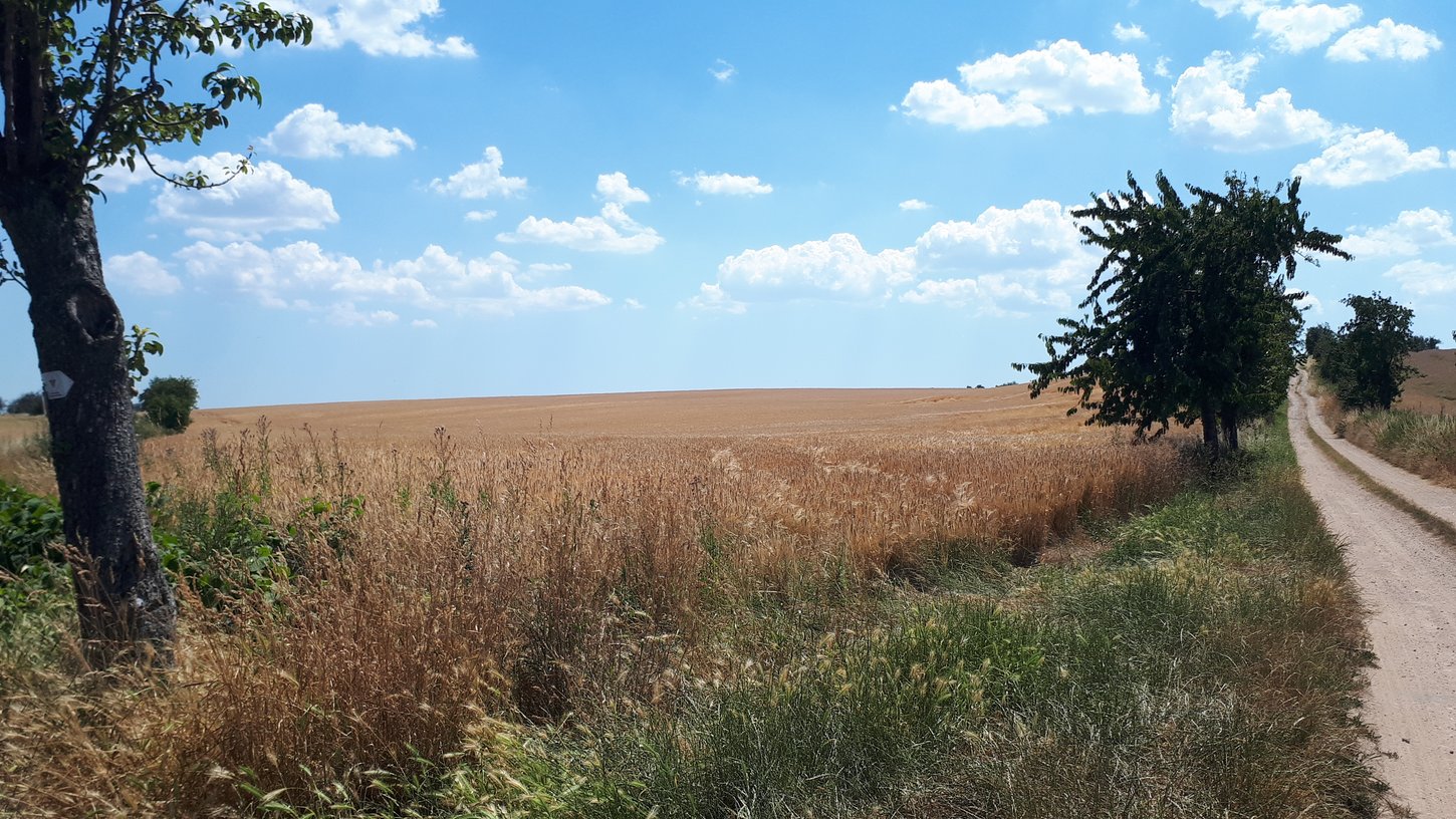 Weites Land bei Zadel 